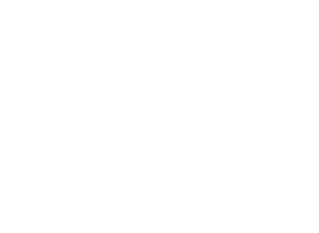 logo budina